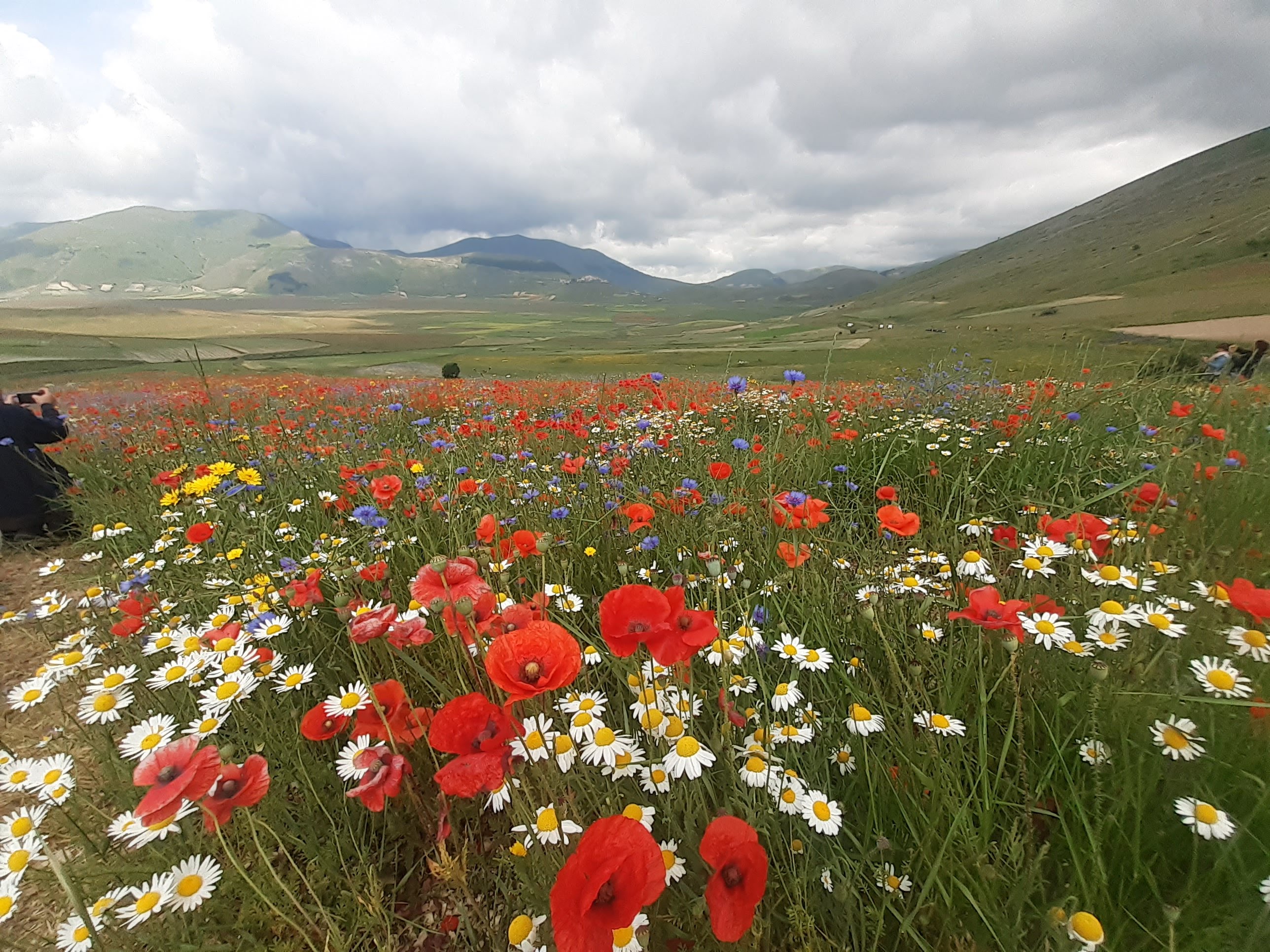 La Fioritura di Castelluccio in MTB e in E-MTB